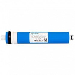 zoom34589